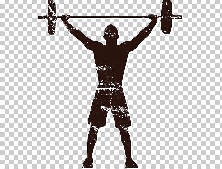 Olympic Weightlifting Weight Training Exercise Squat PNG, Clipart, Crossfit, Dr Nona, Dumbbell, Exercise, Fitness Centre Free PNG Download