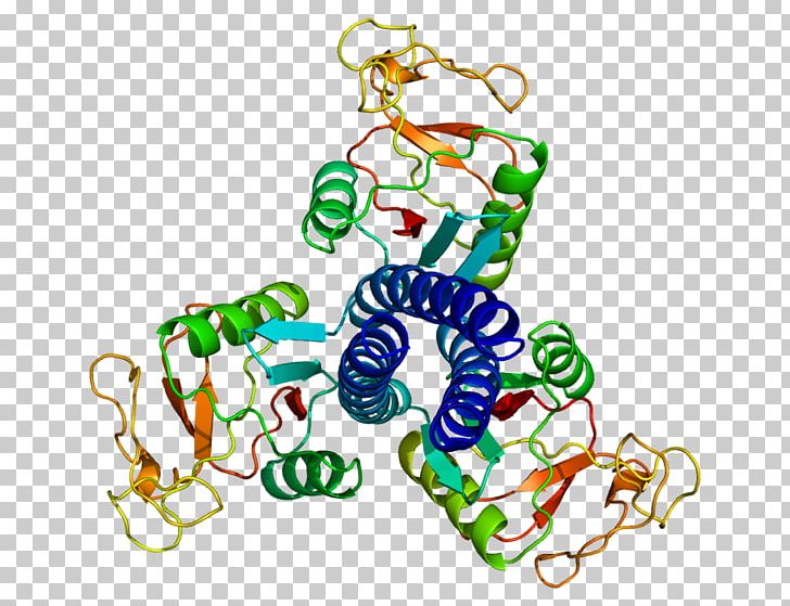 Pulmonary Surfactant Protein D Surfactant Protein A Pulmonary Surfactant Protein D Lectin PNG, Clipart, Area, Body Jewelry, Collectin, Complement System, Lectin Free PNG Download