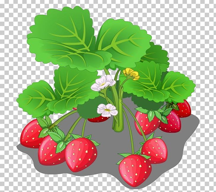 Strawberry Fruit Cartoon PNG, Clipart, Auglis, Berry, Cartoon, Cherry, Download Free PNG Download