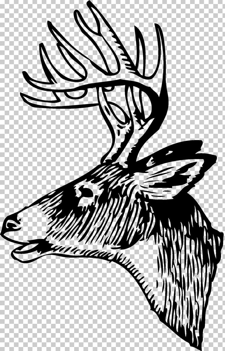 White-tailed Deer Red Deer Elk PNG, Clipart, Animals, Antler, Art, Artwork, Beak Free PNG Download
