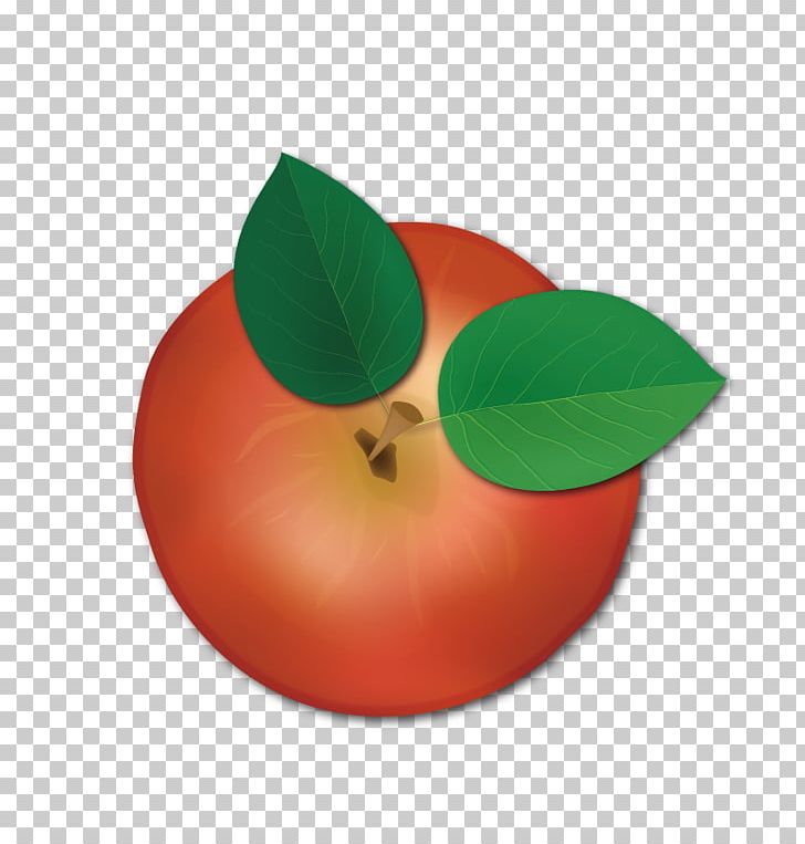 Apple Euclidean PNG, Clipart, Apple, Apple Fruit, Apple Logo, Apples, Apple Tree Free PNG Download