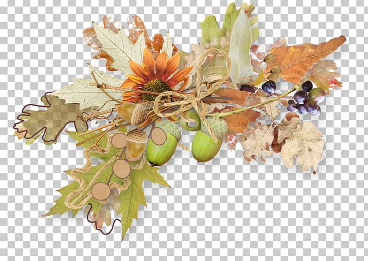 Autumn PNG, Clipart, Autumn, Cut Flowers, Daytime, Deco, Diary Free PNG Download