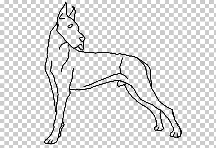 Dog Breed Great Dane Line Art Drawing PNG, Clipart, Artwork, Black And White, Breed, Carnivoran, Cartoon Free PNG Download
