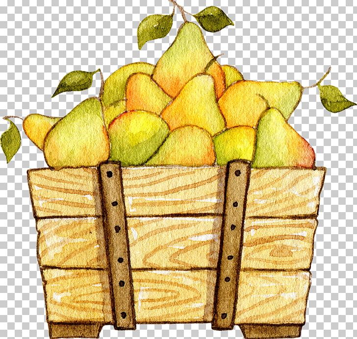 Fruit BMP File Format PNG, Clipart, Adobe Illustrator, Apple, Child, Diet Food, Download Free PNG Download