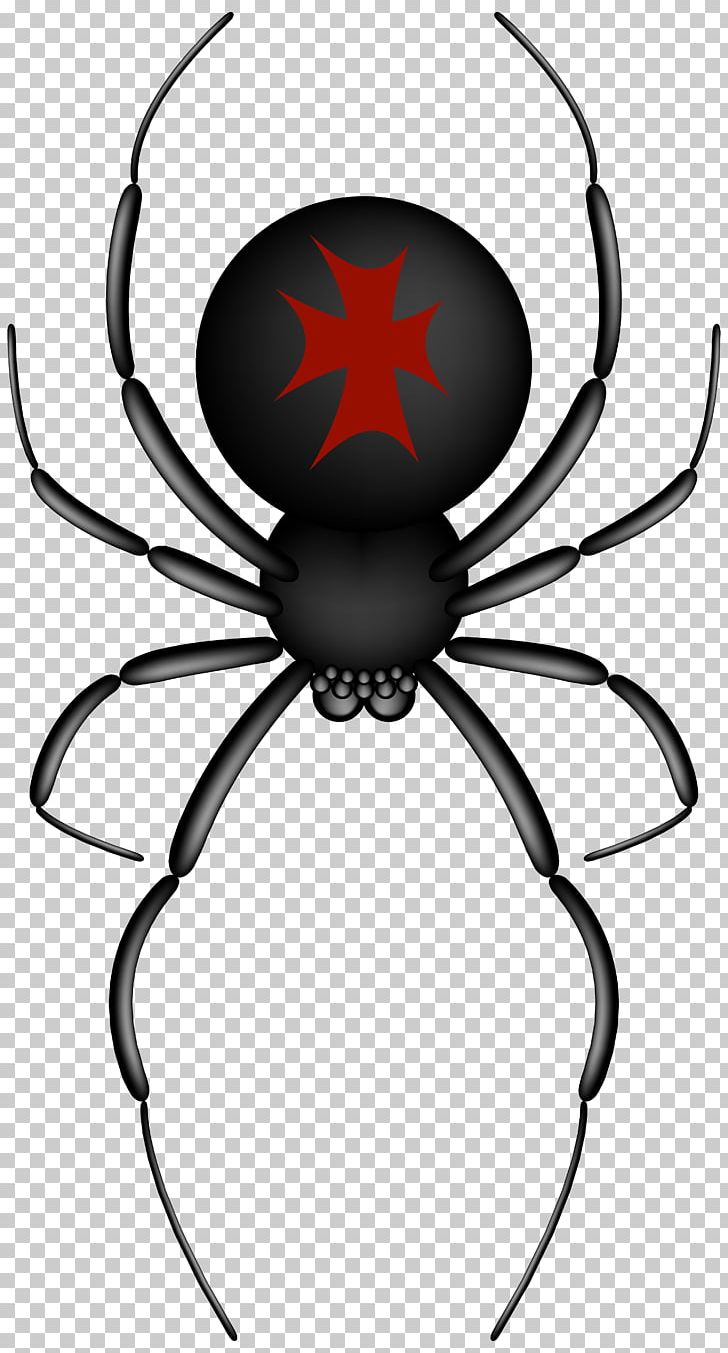 Insects & Spiders Spider Web PNG, Clipart, Animal, Arthropod, Artwork, Black And White, Costume Free PNG Download
