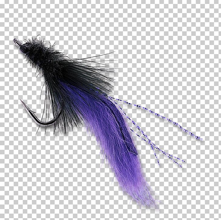 Purple PNG, Clipart, Feather, Purple, Violet, Wing Free PNG Download