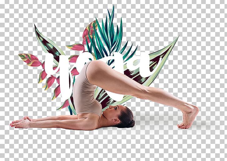 Ashtanga Vinyasa Yoga Hot Yoga Hormon-Yoga Bend And Fly PNG, Clipart, Anahata, Antigravity Yoga, Ashtanga Vinyasa Yoga, Dancer, Fictional Character Free PNG Download