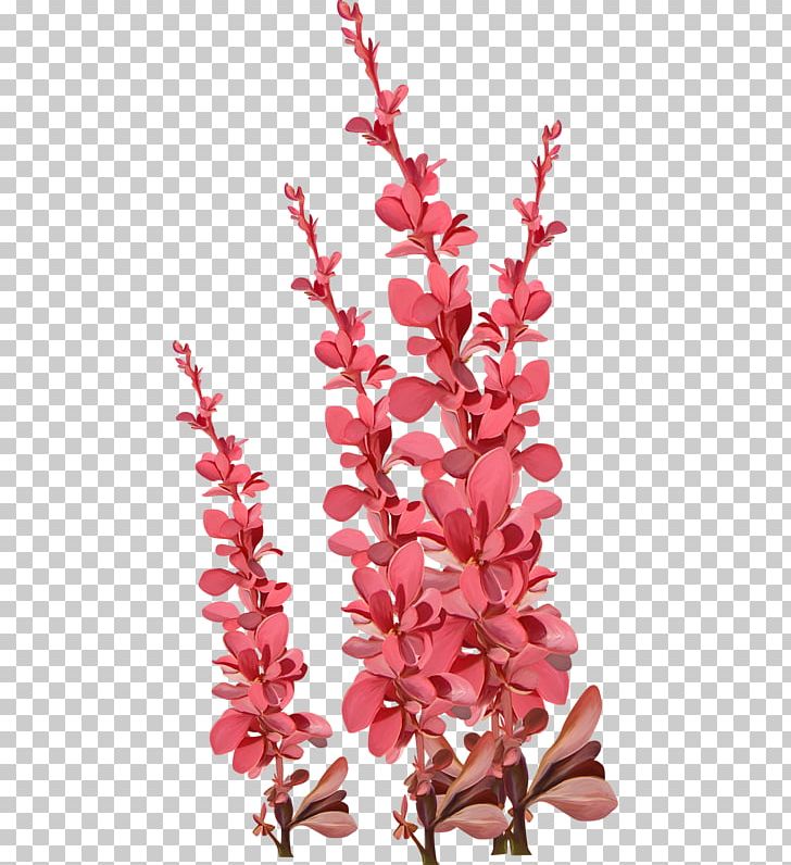 Cut Flowers Petal PNG, Clipart, Animation, Blossom, Branch, Cicek Gorselleri, Cut Flowers Free PNG Download