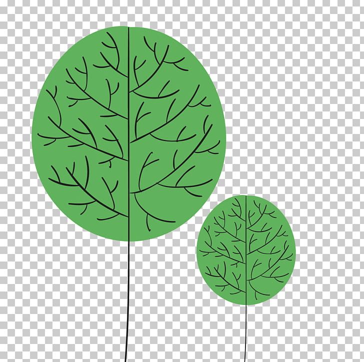 Leaf Green Tree PNG, Clipart, Background Green, Big Tree, Christmas Tree, Family Tree, Grass Free PNG Download