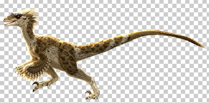 Velociraptor Primal Carnage: Extinction Dinosaur Feather PNG, Clipart, Animal, Animal Figure, Animals, Bearded Dragon, Dinosaur Free PNG Download