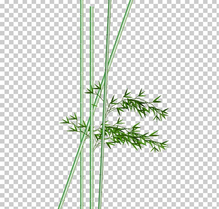 Bamboo Watercolor Painting Ink Wash Painting PNG, Clipart, Angle, Bamboo Frame, Bamboo Leaf, Bamboo Leaves, Branch Free PNG Download