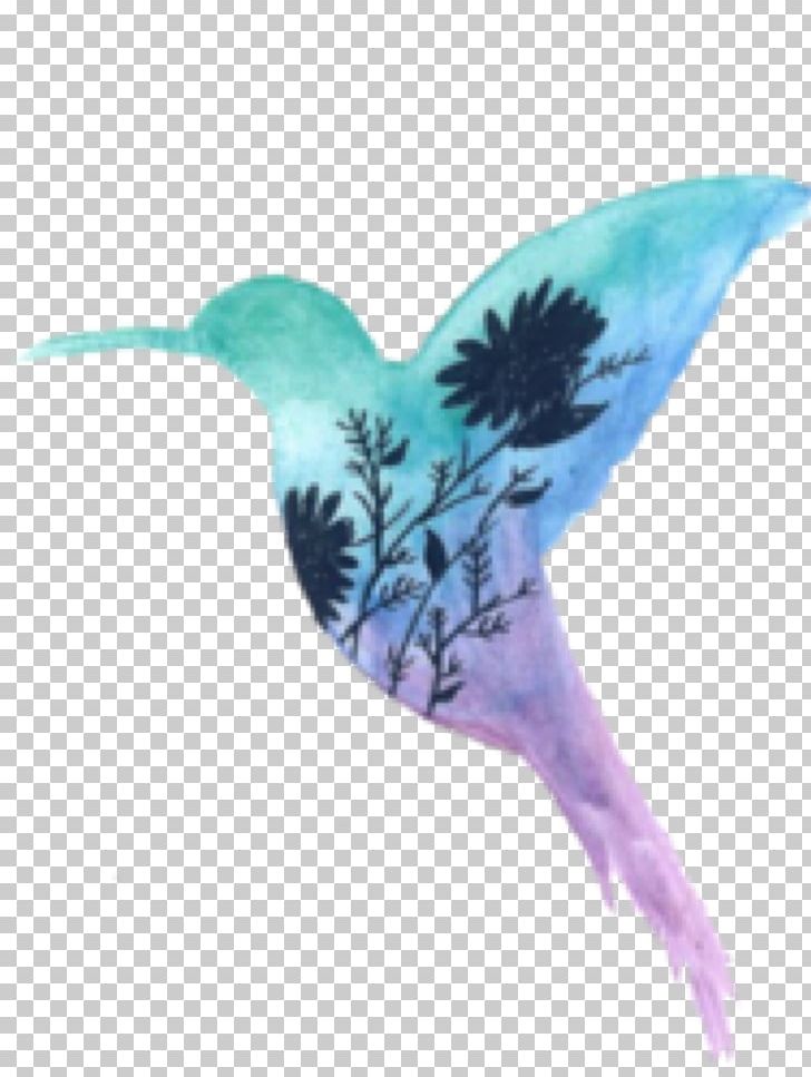 Hummingbird Watercolor Painting YouTube PNG, Clipart, Art, Beak, Bird, Bird Fly, Fauna Free PNG Download