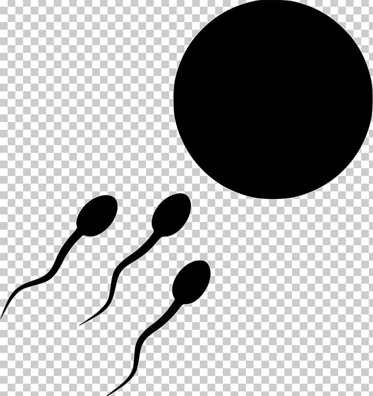 Egg Cell Sperm Semen Fertilisation PNG, Clipart, Artwork, Black, Black And White, Cell, Circle Free PNG Download