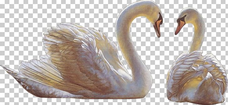 Desktop PNG, Clipart, Beak, Blog, Desktop Wallpaper, Ducks Geese And Swans, Figurine Free PNG Download