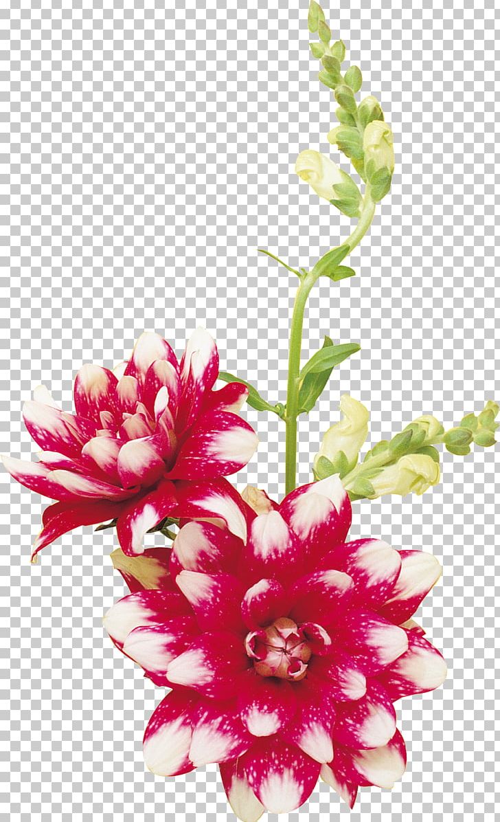 Flower Floral Design PNG, Clipart, Artificial Flower, Cut Flowers, Dendrobium, Encapsulated Postscript, Flora Free PNG Download