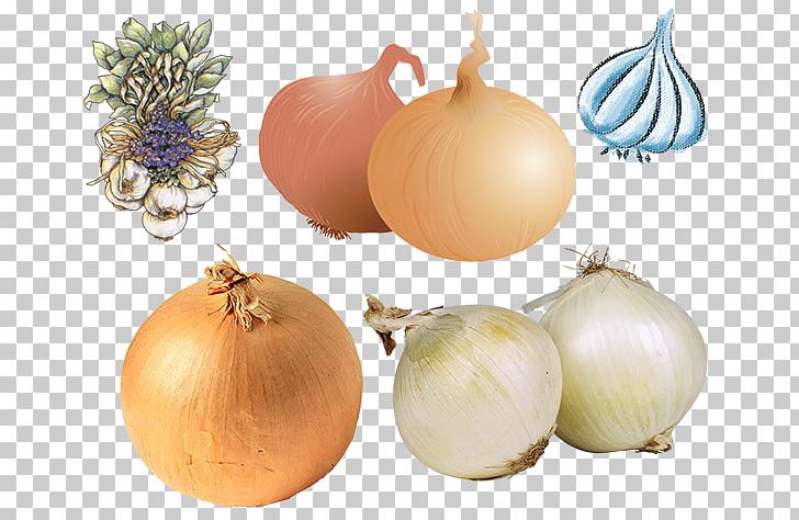French Onion Soup White Onion Vegetable Food PNG, Clipart, Allium, Brassica Oleracea, Caramelization, Cuisine, Dish Free PNG Download