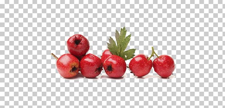 Barbados Cherry Common Hawthorn Berries Stock.xchng Food PNG, Clipart, Accessory Fruit, Ace, Acerola, Barbados Cherry, Berries Free PNG Download