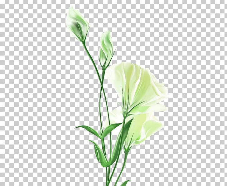 Flower Bouquet Painting PNG, Clipart, Bouquet, Bouquet Of Flowers, Bud, Colored, Cut Flowers Free PNG Download