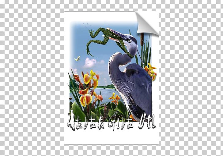 Frog Swallow Great Blue Heron Bird Grey Heron PNG, Clipart,  Free PNG Download