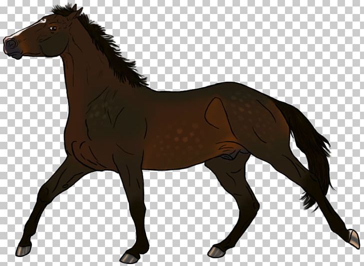 Mustang Pony Foal Stallion Colt PNG, Clipart, Animal Figure, Art, Bridle, Colt, English Riding Free PNG Download