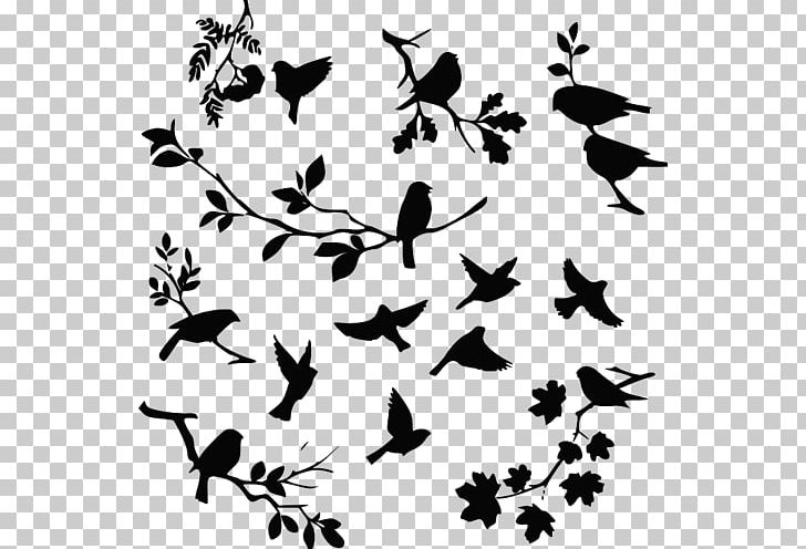 Stock Photography Drawing PNG, Clipart, Beak, Bird, Black And White, Branch, Butterfly Free PNG Download