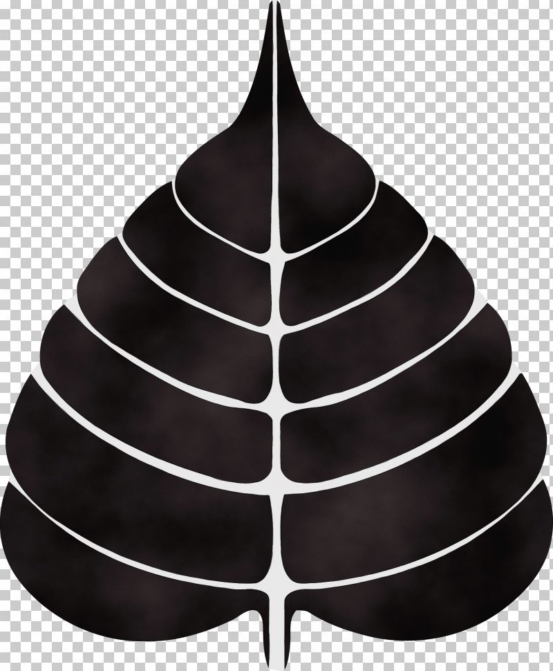 Leaf Tree Black-and-white Plant Cone PNG, Clipart, Blackandwhite, Bodhi, Bodhi Day, Bodhi Leaf, Cone Free PNG Download