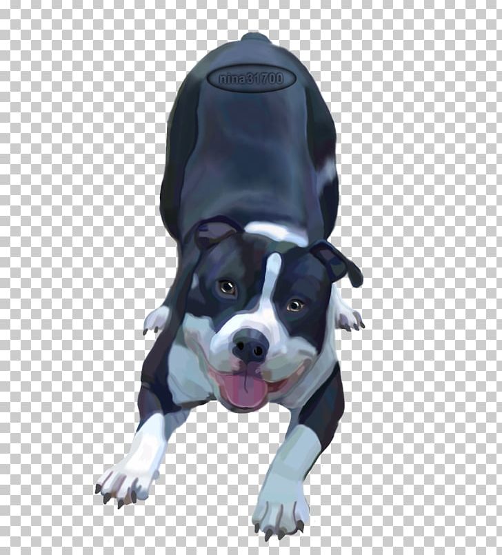 Boston Terrier American Pit Bull Terrier Dog Breed PNG, Clipart, American Pit Bull Terrier, Ascendant, Boston, Boston Terrier, Breed Free PNG Download