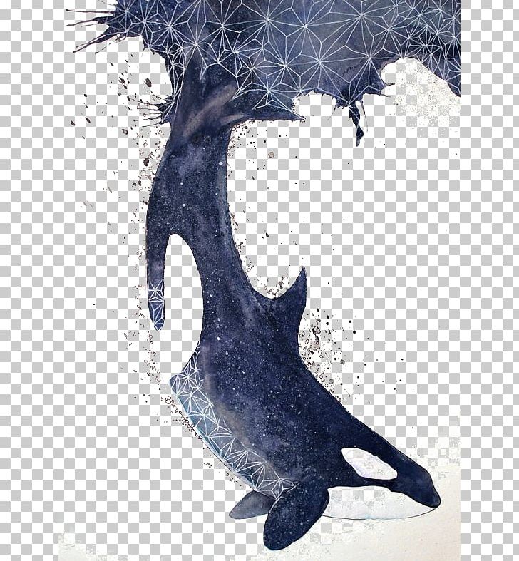 Killer Whale Baby Whale Sea Lion Blue Whale PNG, Clipart, Animal, Animals, Art, Artistic, Artistic Conception Free PNG Download
