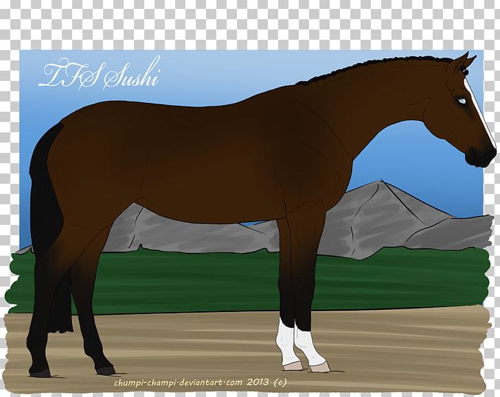 Mane Foal Stallion Rein Mustang PNG, Clipart, Bridle, Colt, Foal, Grass, Halter Free PNG Download