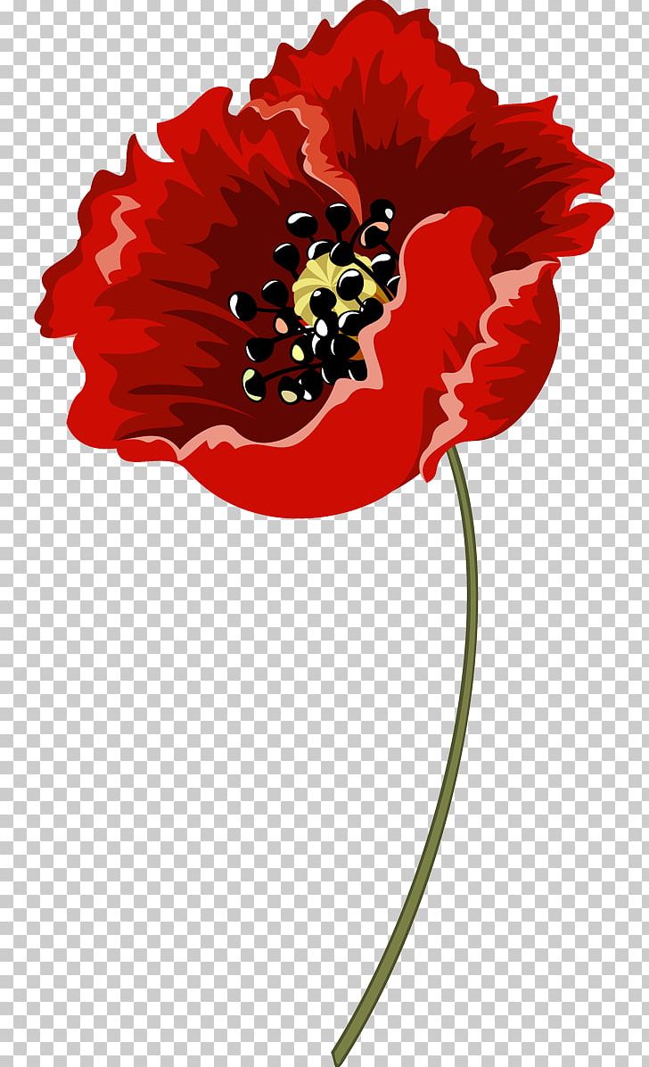 Poppy Plant Stem PNG, Clipart, Brush, Coquelicot, Flora, Flower, Flowering Plant Free PNG Download