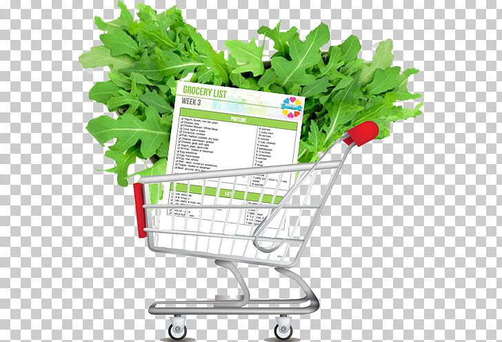 Shopping Cart Shopping Bags & Trolleys Paper PNG, Clipart, Bag, Computer Icons, Ecommerce, Flowerpot, Grass Free PNG Download