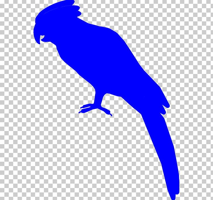 Silhouette Bird Cockatoo Macaw Beak PNG, Clipart, Amazon Parrot, Animal, Animals, Artwork, Beak Free PNG Download