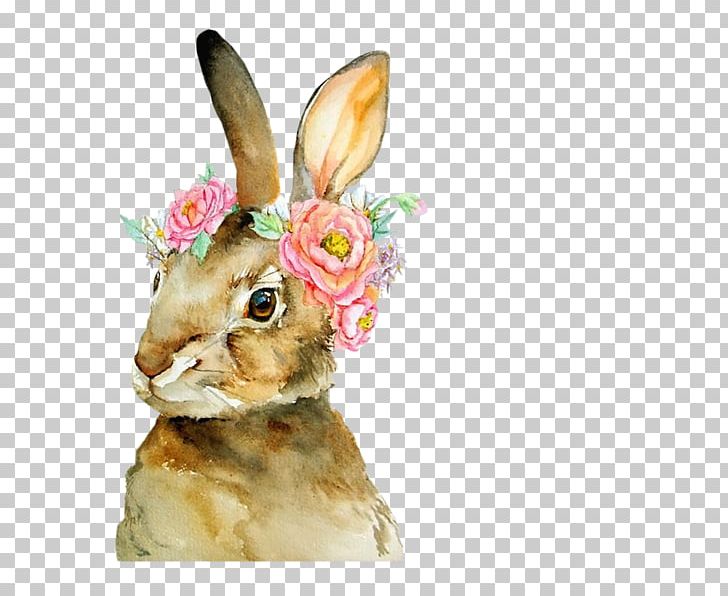 The Tale Of Peter Rabbit Watercolor Painting Art PNG, Clipart, Animals, Art, Best Bunnies, Domestic Rabbit, Drawing Free PNG Download