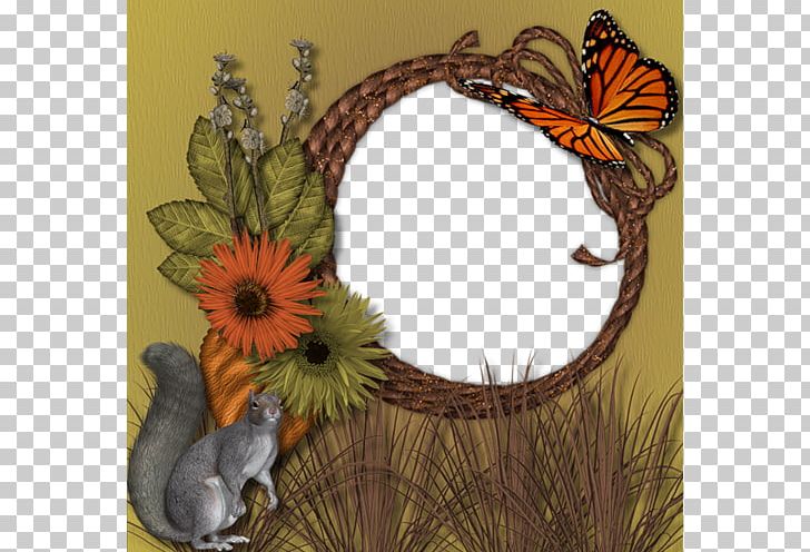 Frame Squirrel! FREE Photography PNG, Clipart, Border Frame, Charcoal, Christmas Frame, Decor, Forest Free PNG Download