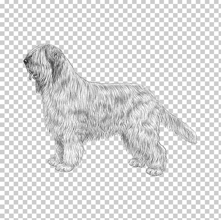 Glen Bergamasco Shepherd Briard Lagotto Romagnolo Newfoundland Dog PNG, Clipart, Airedale Terrier, Beard, Carnivoran, Dog Breed, Dog Breed Group Free PNG Download