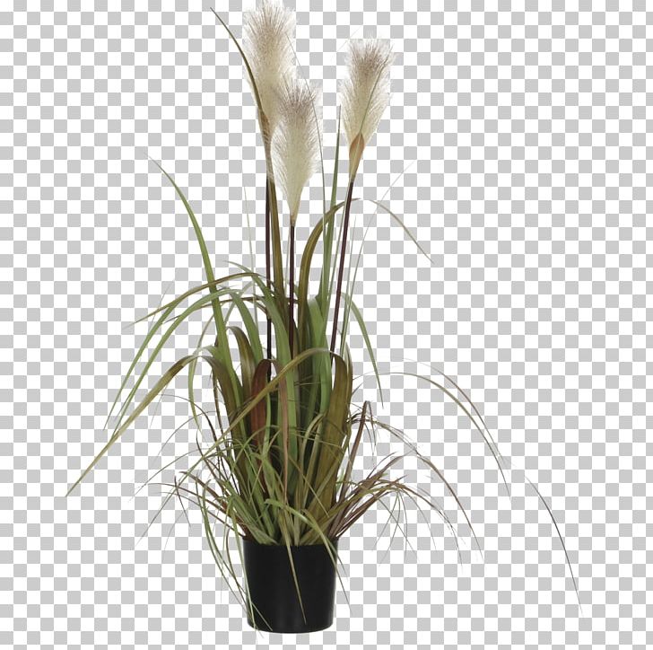 Plastic Flowerpot Grass Mica Garden PNG, Clipart, Bauhaus, Beslistnl, Floristry, Flower, Flowering Plant Free PNG Download
