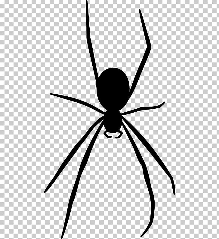 Spider Web Silhouette PNG, Clipart, Arachnid, Arthropod, Artwork, Black And White, Black House Spider Free PNG Download