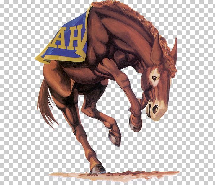 Alamo Heights High School Alamo Heights Junior High School National Secondary School Mule Horse PNG, Clipart, Alamo Heights, Animals, Class, Horse Supplies, Horse Tack Free PNG Download