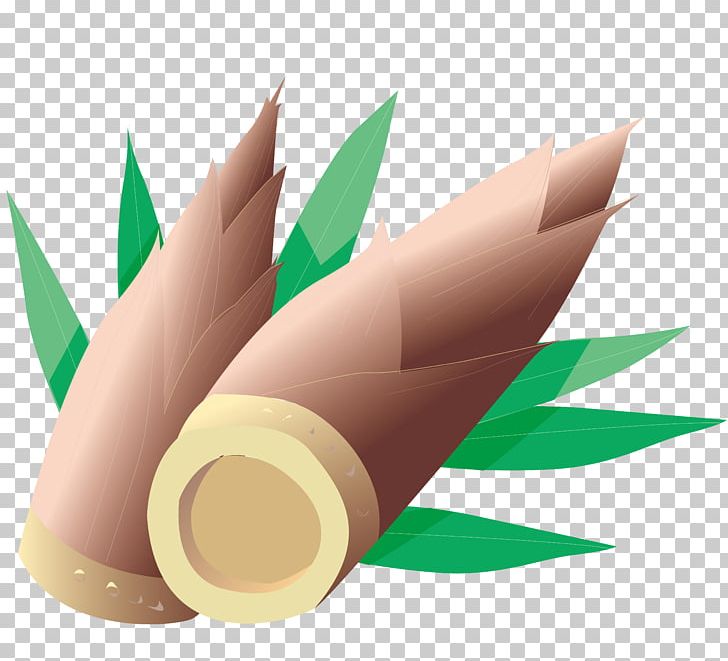 Bamboo Shoot PNG, Clipart, Bamboe, Bamboo Vector, Banco De Imagens, Drawing, Getty Images Free PNG Download