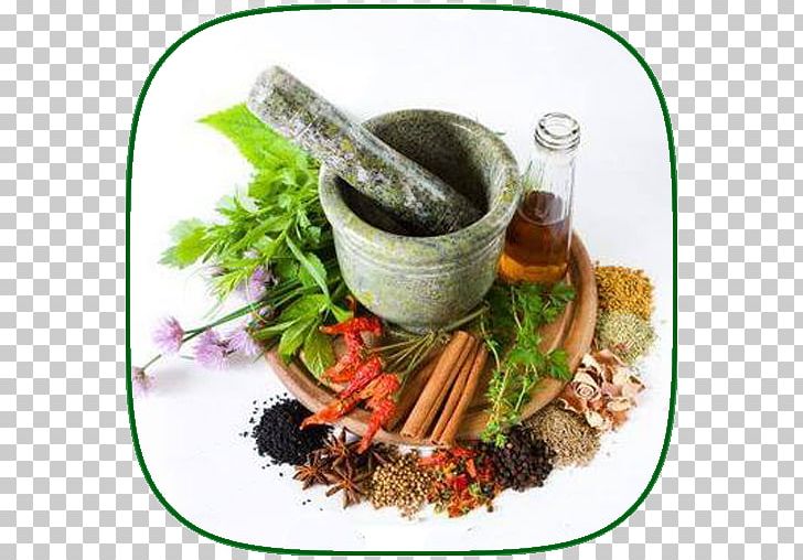 Herb Thai Cuisine Spice PHARMACIE AL JABAL Oil PNG, Clipart, Ayurveda, Ayurvedic Healing, Essential Oil, Extract, Flavor Free PNG Download
