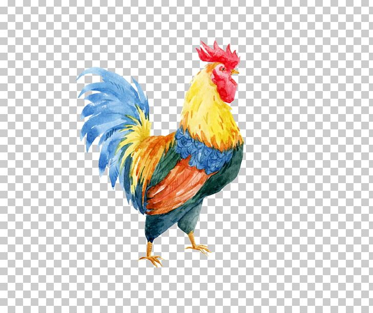 Rooster Watercolor Painting Drawing Illustration PNG, Clipart, Animal, Animals, Bird, Chicken, Chicken Vector Free PNG Download