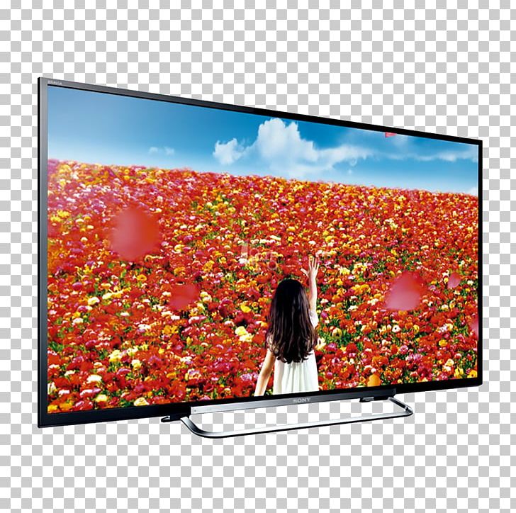 4K Hard Screen LCD Screen LCD TV PNG, Clipart, Display Advertising, Flower, Led Backlit Lcd Display, Light, Liquidcrystal Display Free PNG Download