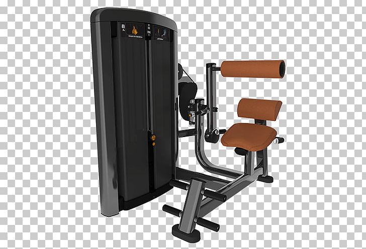 Fitness Centre Exercise Equipment CrossFit Physical Fitness Hyperextension PNG, Clipart, Abductor, Aerobics, Bench Press, Bodybuilding, Crossfit Free PNG Download