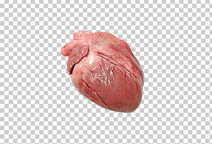 Domestic Pig Heart Circulatory System Stock Photography PNG, Clipart, Anatomy, Animal Fat, Animals, Animal Source Foods, Cardiovascular Disease Free PNG Download