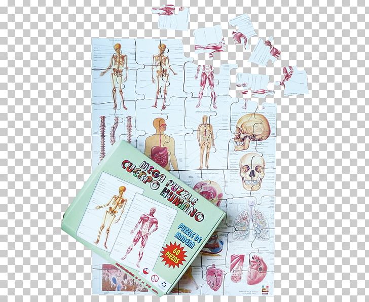 Material Didàctic Mega Puzzle Human Body 1 PNG, Clipart, 1 2 3, Body, Digital Microscope, Game, Human Body Free PNG Download