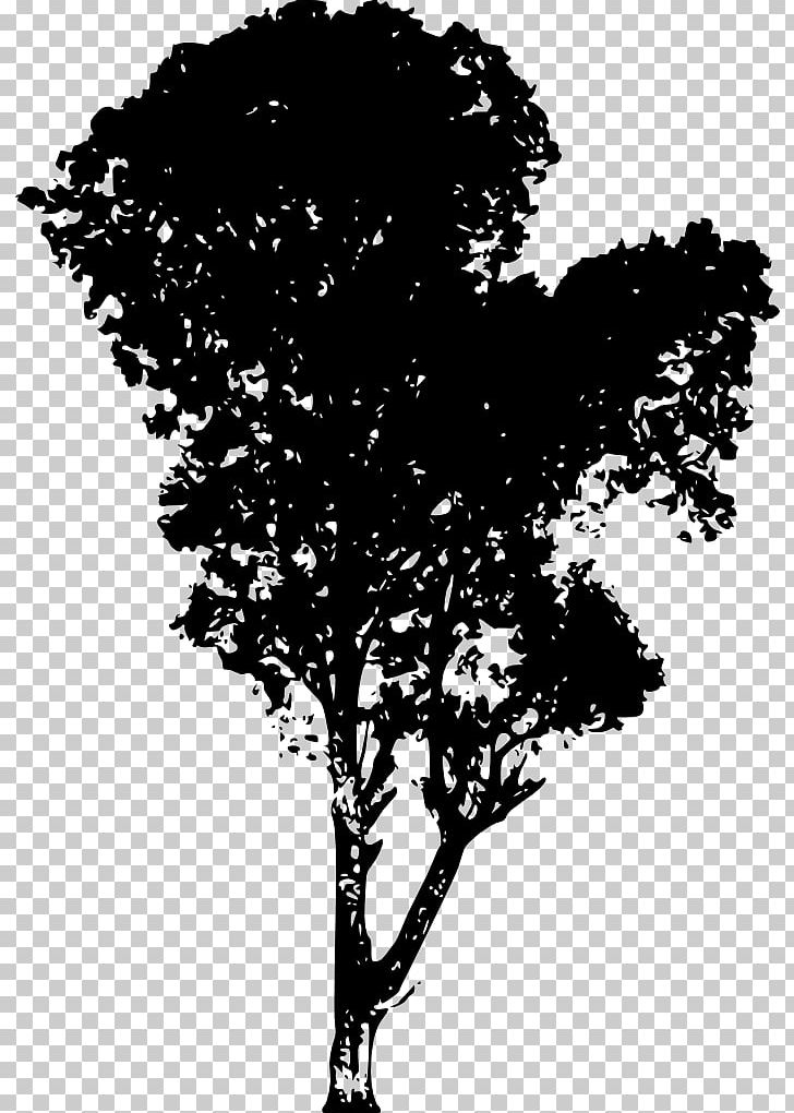 Tree Silhouette Branch Desktop PNG, Clipart, Black And White, Branch, Desktop Wallpaper, Flora, Flower Free PNG Download