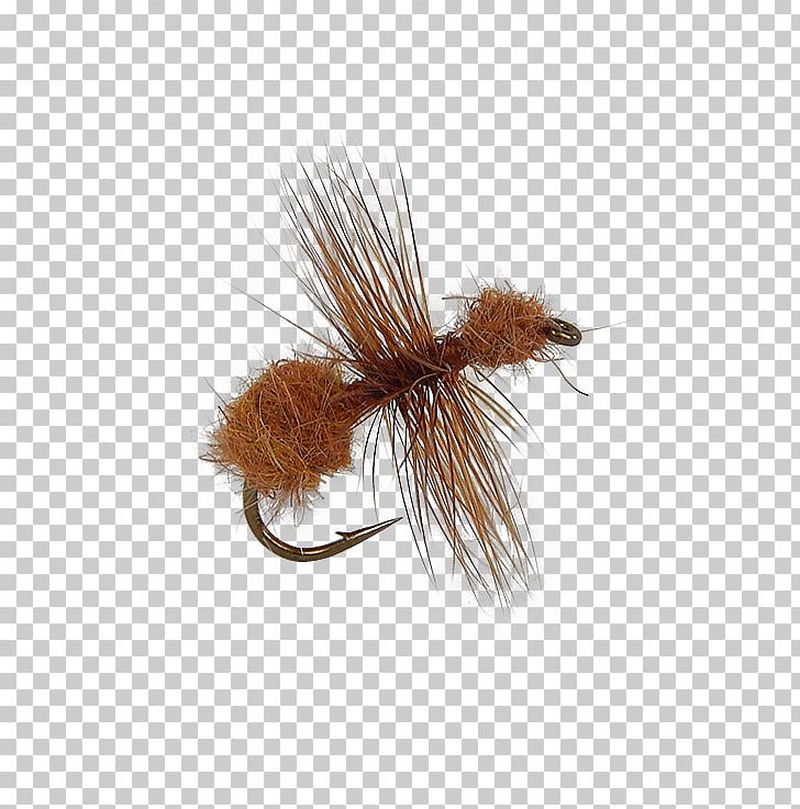 Artificial Fly Fly Fishing Ant Insect PNG, Clipart, 30 January, Andy Lewis, Ant, Artificial Fly, Cinnamon Free PNG Download
