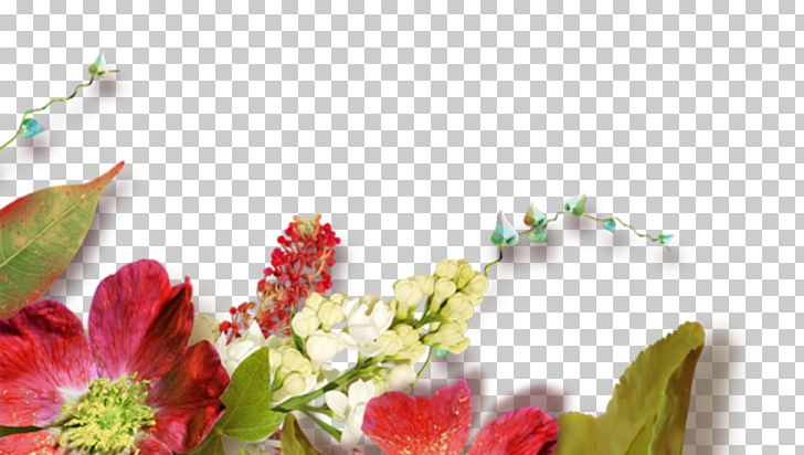 Greeting Prayer Love PNG, Clipart, Blossom, Cicek, Cicek Resimleri, Cut Flowers, Day Free PNG Download