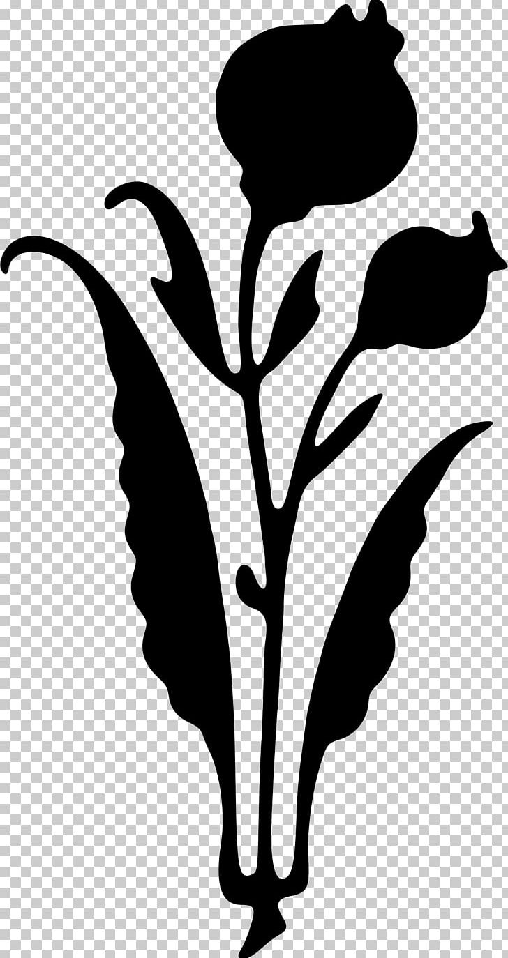 Analecta Eboracensia Silhouette Flower PNG, Clipart, Animals, Artwork, Beak, Black, Black And White Free PNG Download
