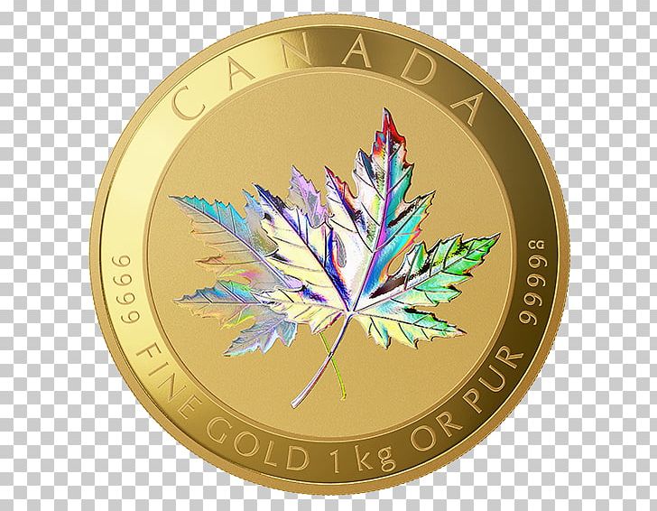 Canada Canadian Gold Maple Leaf Gold Coin PNG, Clipart, Canada, Canadian Gold Maple Leaf, Canadian Silver Maple Leaf, Coin, Gold Free PNG Download